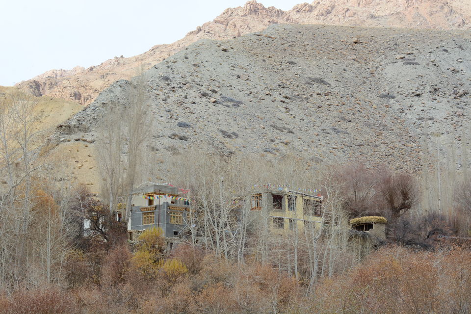 Photo of Less visited places of Ladakh - Chasing snow leopards in Ulley by Soumik Neogi