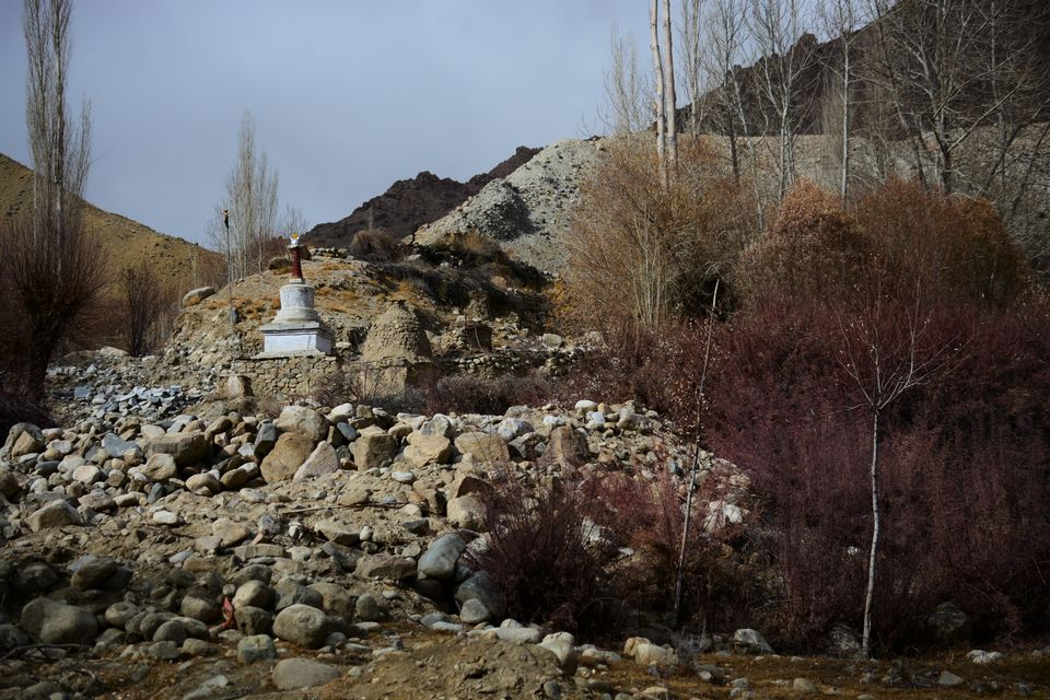 Photo of Less visited places of Ladakh - Chasing snow leopards in Ulley by Soumik Neogi