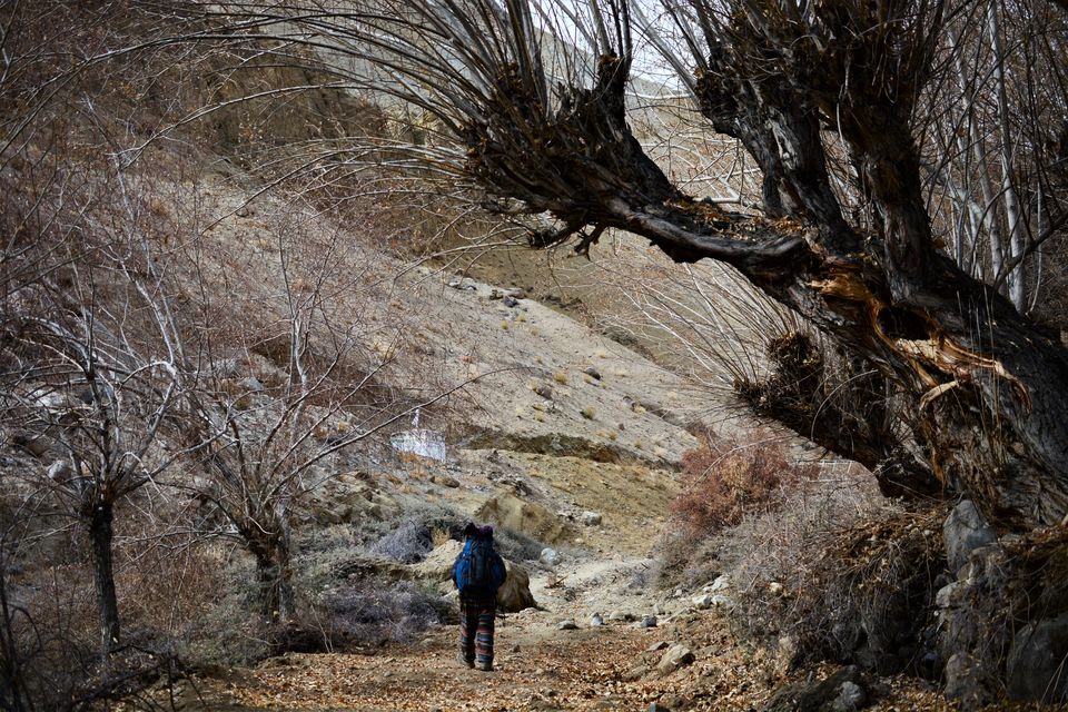 Photo of Less visited places of Ladakh - Chasing snow leopards in Ulley by Soumik Neogi