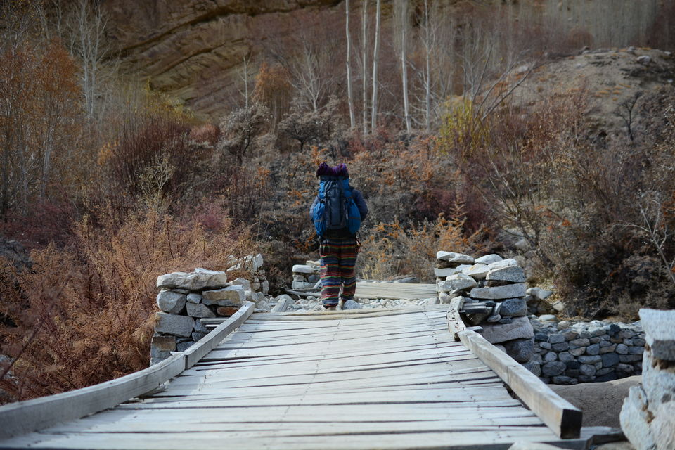 Photo of Less visited places of Ladakh - Chasing snow leopards in Ulley by Soumik Neogi