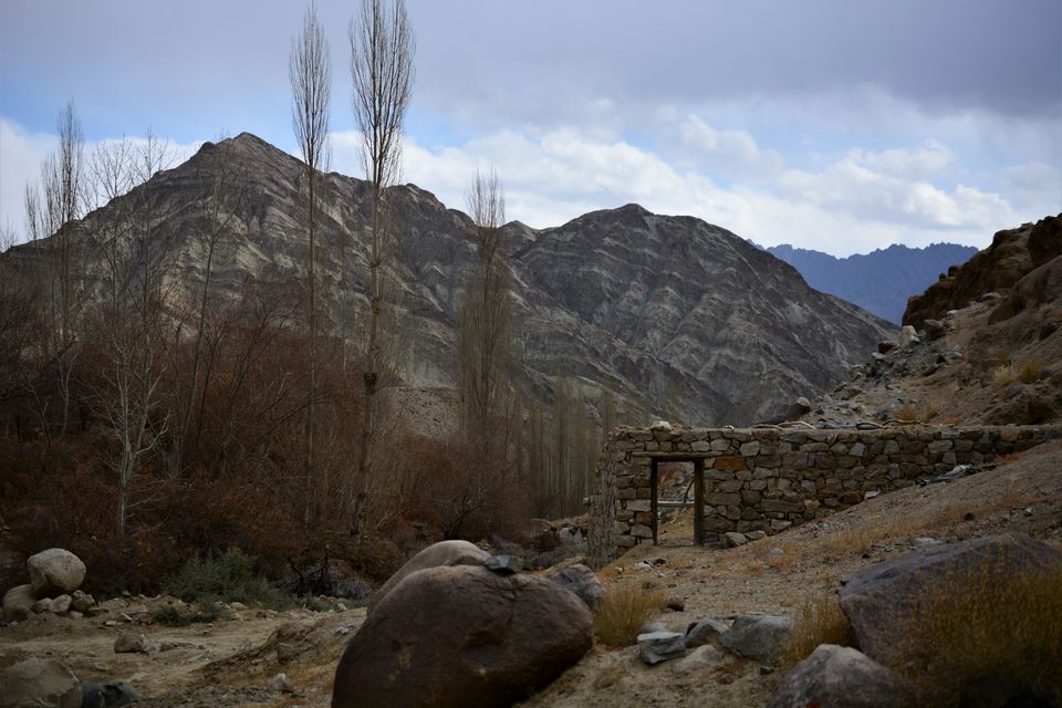 Photo of Less visited places of Ladakh - Chasing snow leopards in Ulley by Soumik Neogi
