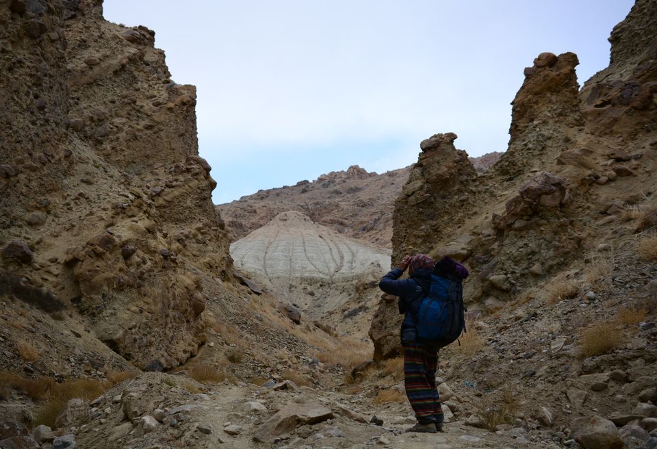 Photo of Less visited places of Ladakh - Chasing snow leopards in Ulley by Soumik Neogi
