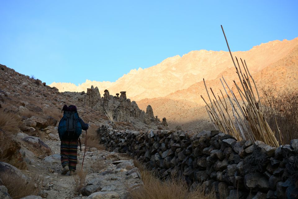 Photo of Less visited places of Ladakh - Chasing snow leopards in Ulley by Soumik Neogi