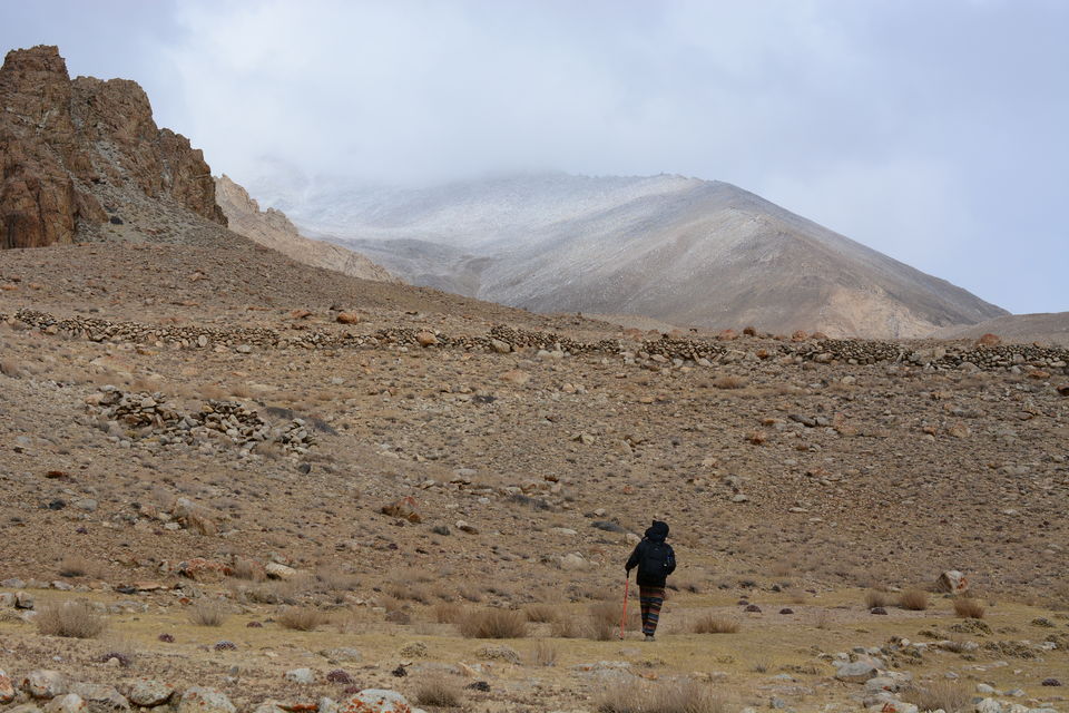 Photo of Less visited places of Ladakh - Chasing snow leopards in Ulley by Soumik Neogi
