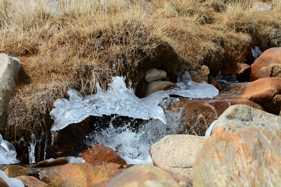 Photo of Less visited places of Ladakh - Chasing snow leopards in Ulley by Soumik Neogi