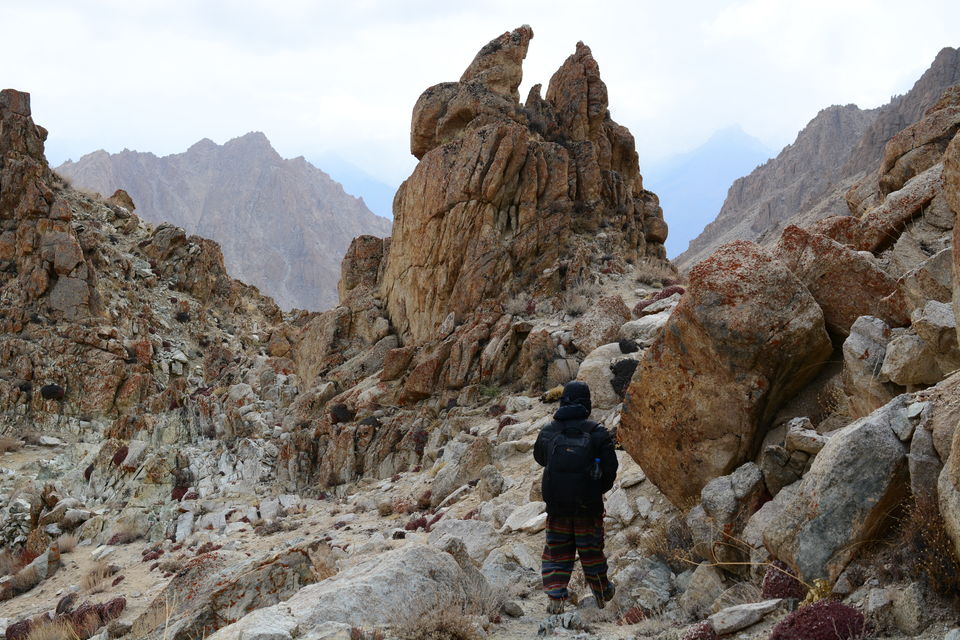 Photo of Less visited places of Ladakh - Chasing snow leopards in Ulley by Soumik Neogi