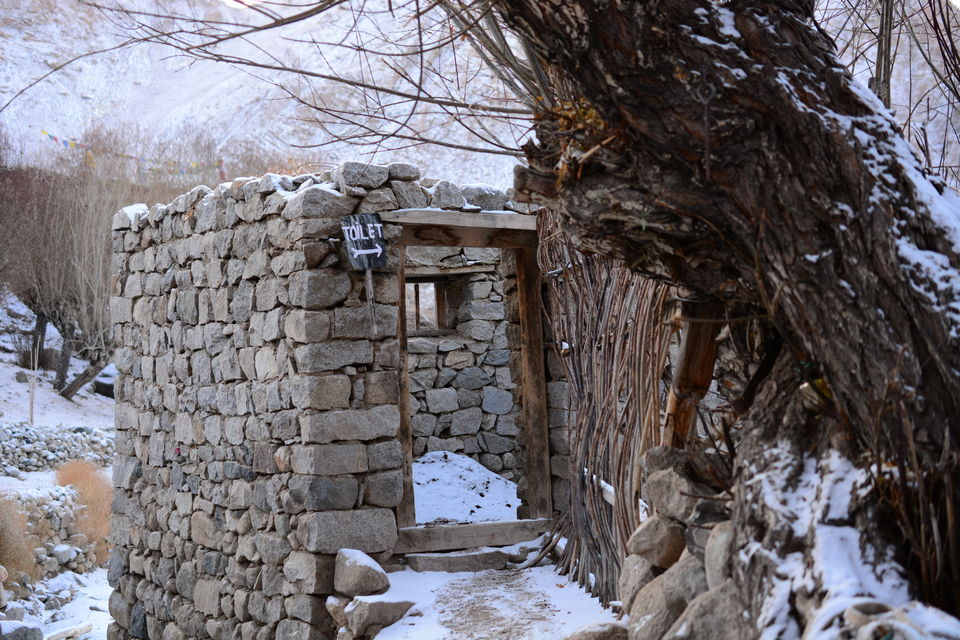 Photo of Less visited places of Ladakh - Chasing snow leopards in Ulley by Soumik Neogi