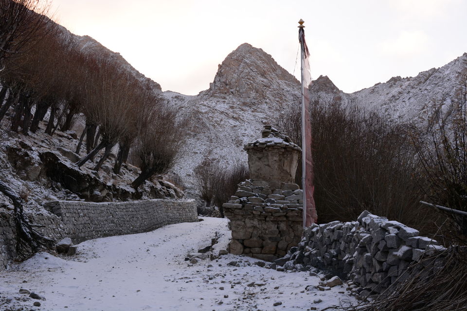 Photo of Less visited places of Ladakh - Chasing snow leopards in Ulley by Soumik Neogi