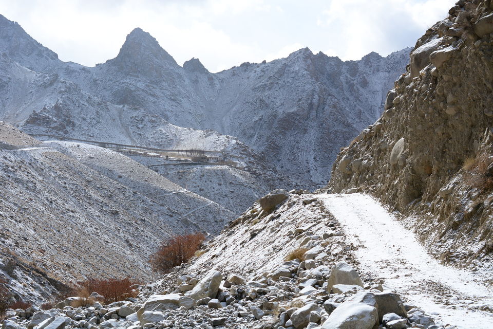 Photo of Less visited places of Ladakh - Chasing snow leopards in Ulley by Soumik Neogi