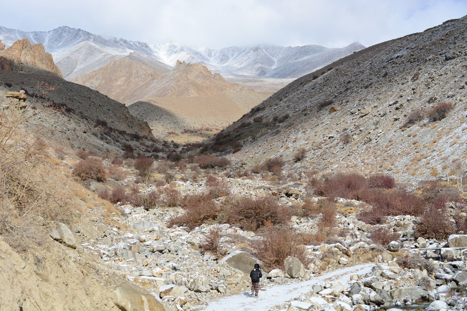 Photo of Less visited places of Ladakh - Chasing snow leopards in Ulley by Soumik Neogi