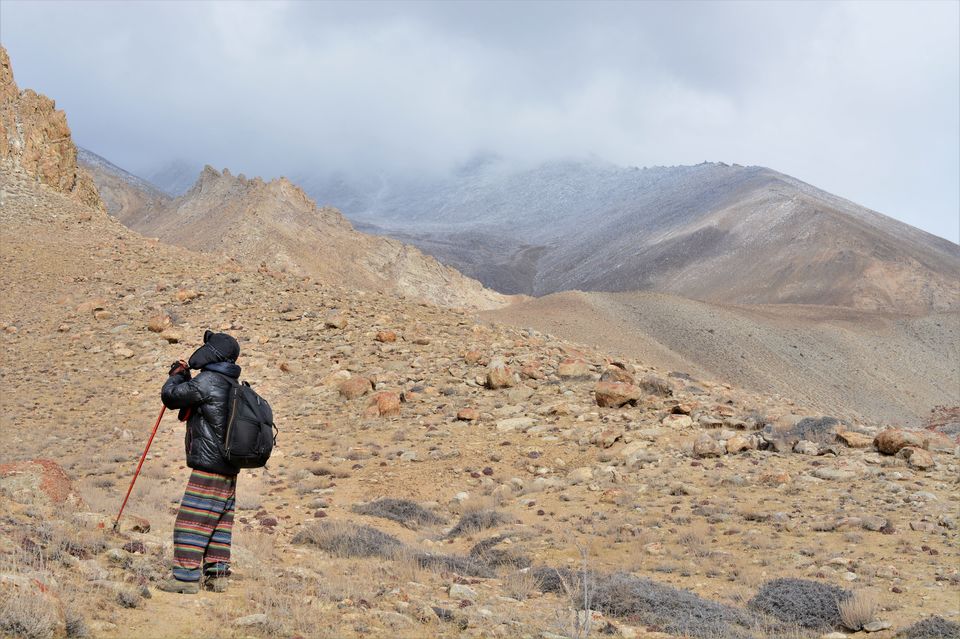 Photo of Less visited places of Ladakh - Chasing snow leopards in Ulley by Soumik Neogi