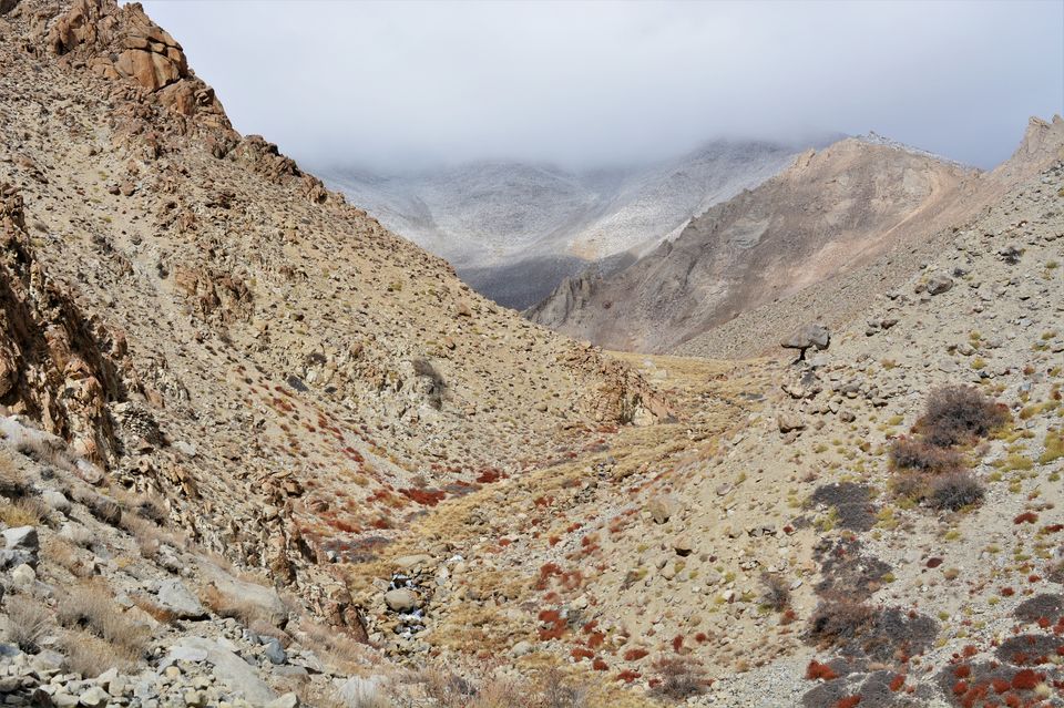 Photo of Less visited places of Ladakh - Chasing snow leopards in Ulley by Soumik Neogi