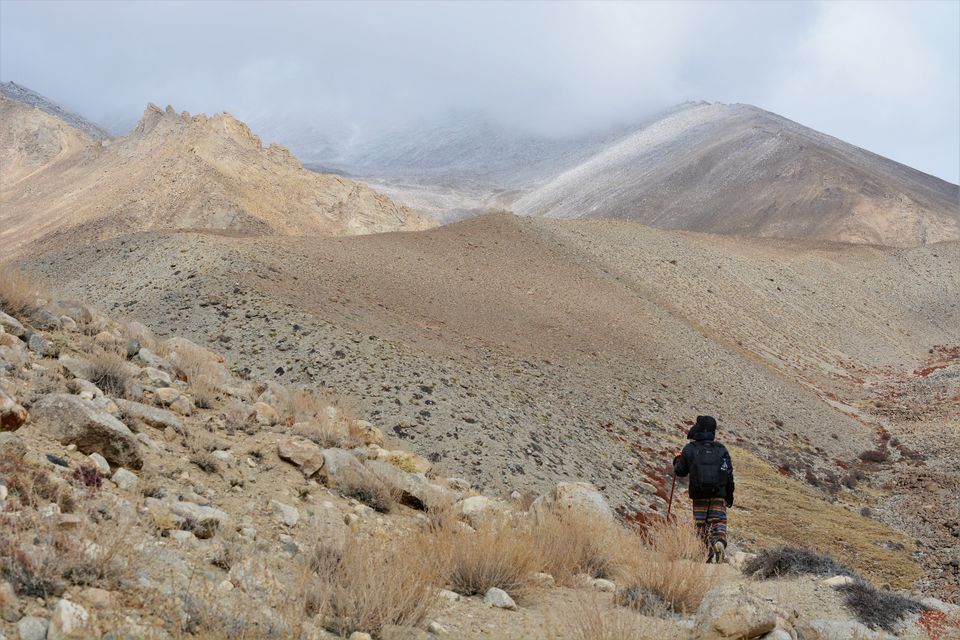 Photo of Less visited places of Ladakh - Chasing snow leopards in Ulley by Soumik Neogi
