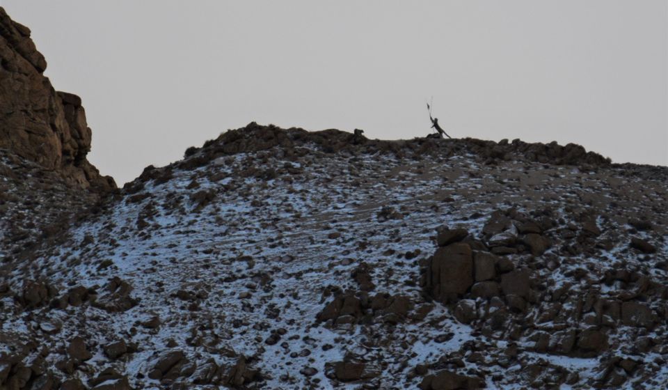 Photo of Less visited places of Ladakh - Chasing snow leopards in Ulley by Soumik Neogi
