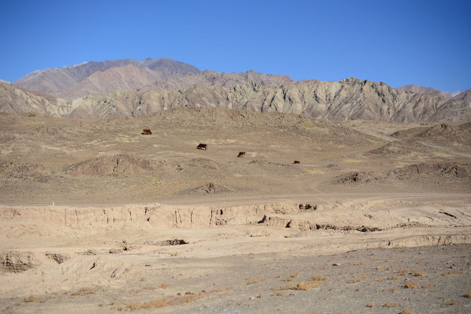 Photo of Villages or a dream - Ladakh villages that you have to visit to believe! #MemoryLane by Soumik Neogi