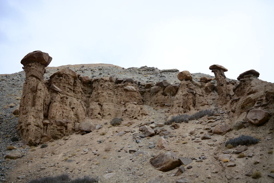 Photo of Less visited places of Ladakh - Chasing snow leopards in Ulley by Soumik Neogi