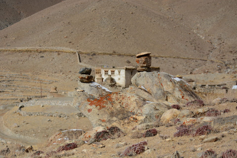 Photo of Less visited places of Ladakh - Chasing snow leopards in Ulley by Soumik Neogi