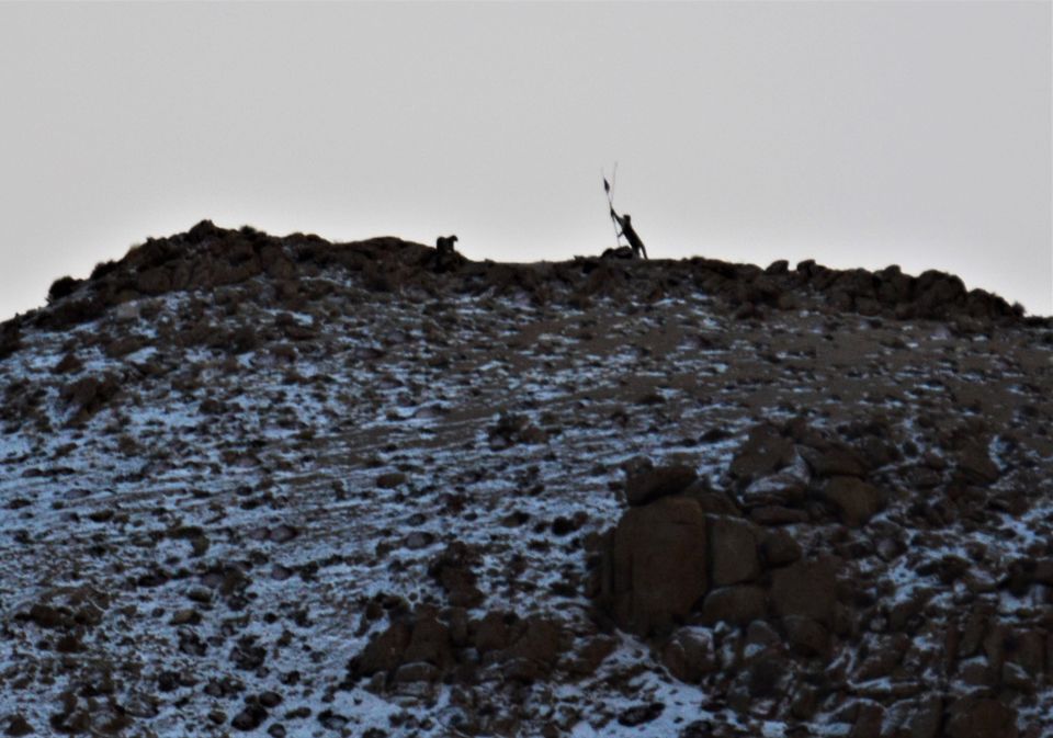 Photo of Less visited places of Ladakh - Chasing snow leopards in Ulley by Soumik Neogi