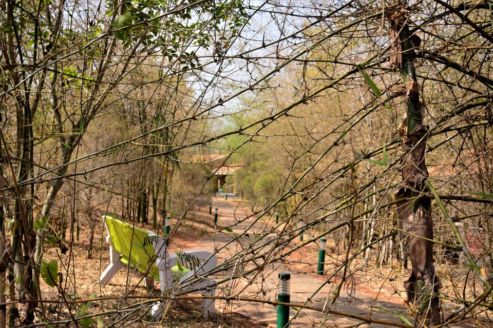 Photo of Why Bandipur Safari lodge offers best value for Solo travellers? by Soumik Neogi