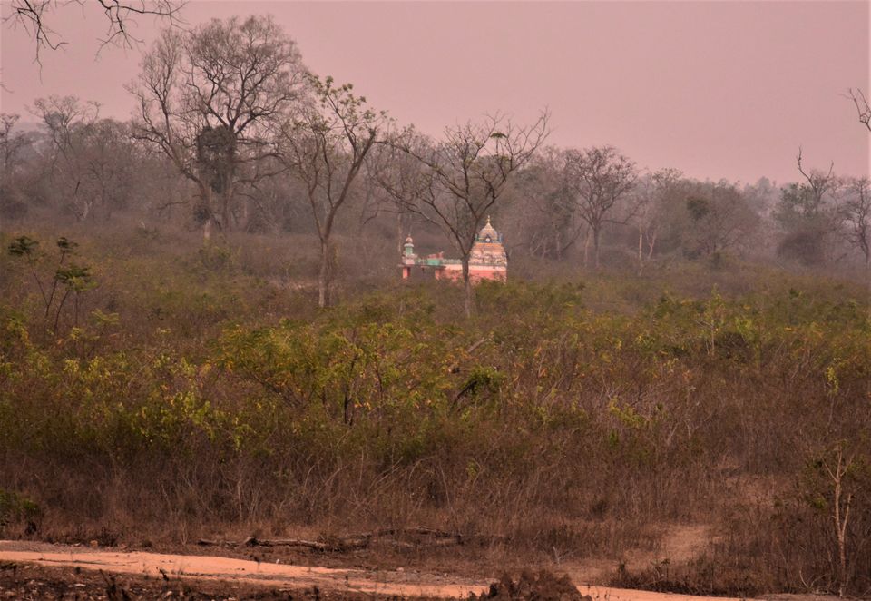 Photo of Why Bandipur Safari lodge offers best value for Solo travellers? by Soumik Neogi