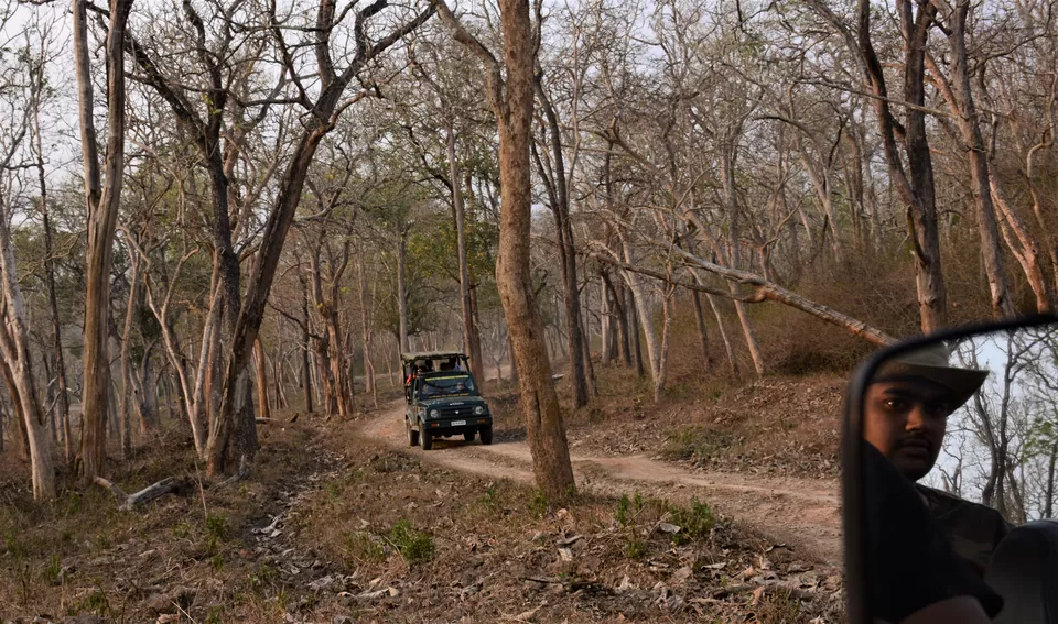 Photo of Bandipur Safari Lodge, Bandipur, Mel Kamanahalli, Karnataka, India by Soumik Neogi