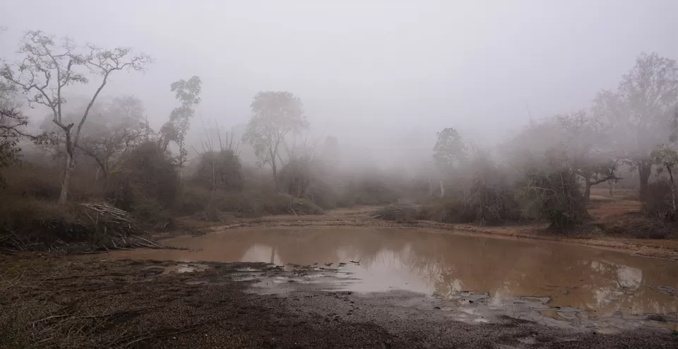 Photo of Bandipur Safari Lodge, Bandipur, Mel Kamanahalli, Karnataka, India by Soumik Neogi