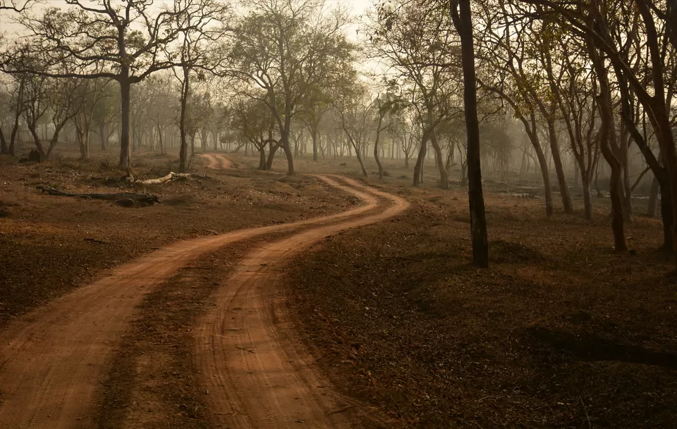 Photo of Bandipur Safari Lodge, Bandipur, Mel Kamanahalli, Karnataka, India by Soumik Neogi