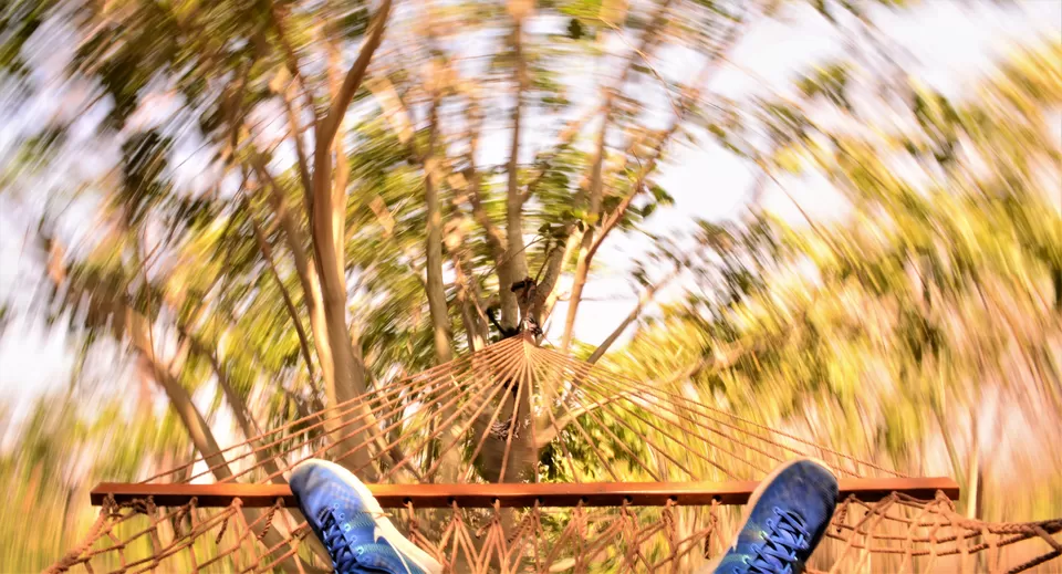 Photo of Bandipur Safari Lodge, Bandipur, Mel Kamanahalli, Karnataka, India by Soumik Neogi