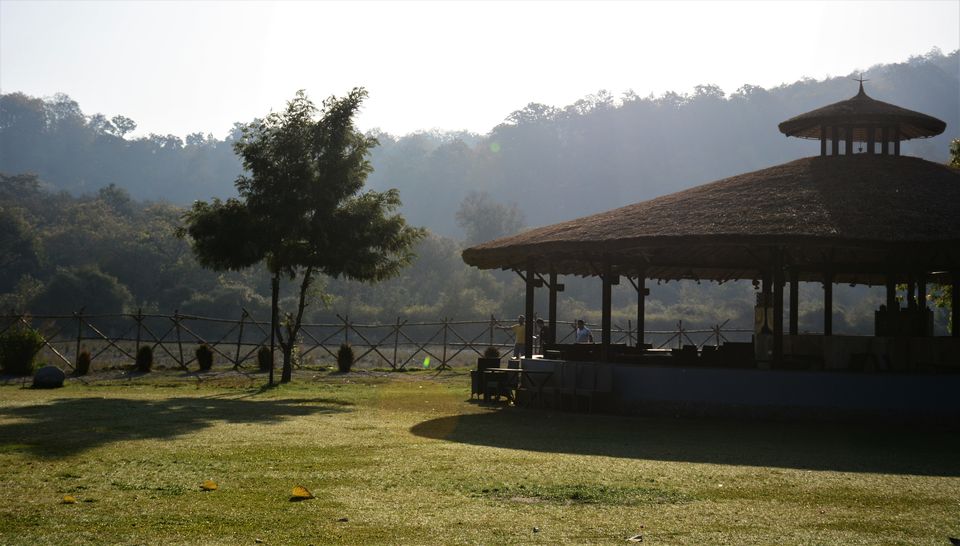 Photo of Jim Corbett National Park, Ramnagar, Uttarakhand, India by Soumik Neogi