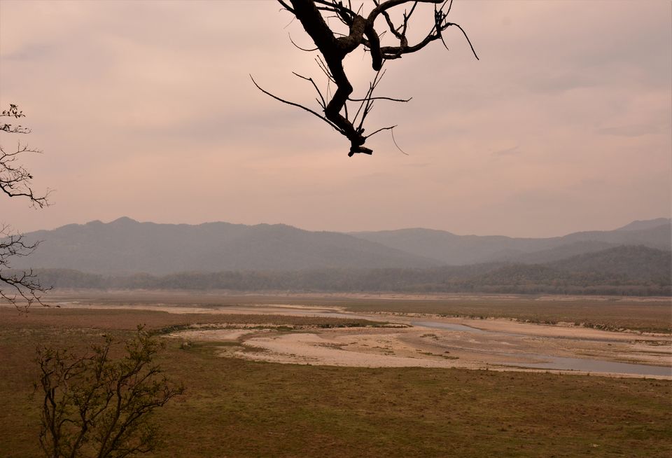 Photo of Have you been to this Ancient temple inside the mighty Jim corbett!#HiddenGem by Soumik Neogi