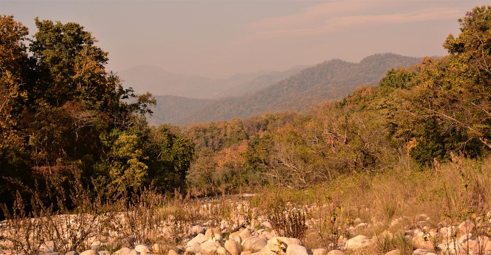 Photo of Have you been to this Ancient temple inside the mighty Jim corbett!#HiddenGem by Soumik Neogi