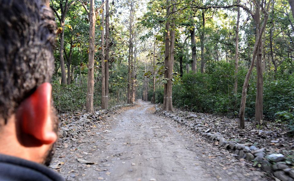 Photo of Have you been to this Ancient temple inside the mighty Jim corbett!#HiddenGem by Soumik Neogi