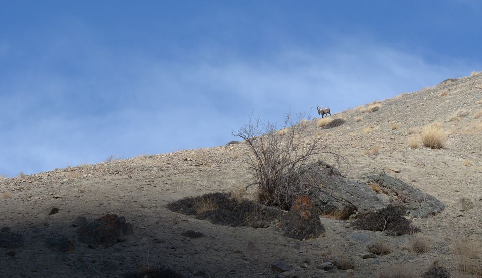 Photo of Seeking an adventurous trek option in Winter Ladakh, head to Sumda Chenmo in 2019! by Soumik Neogi