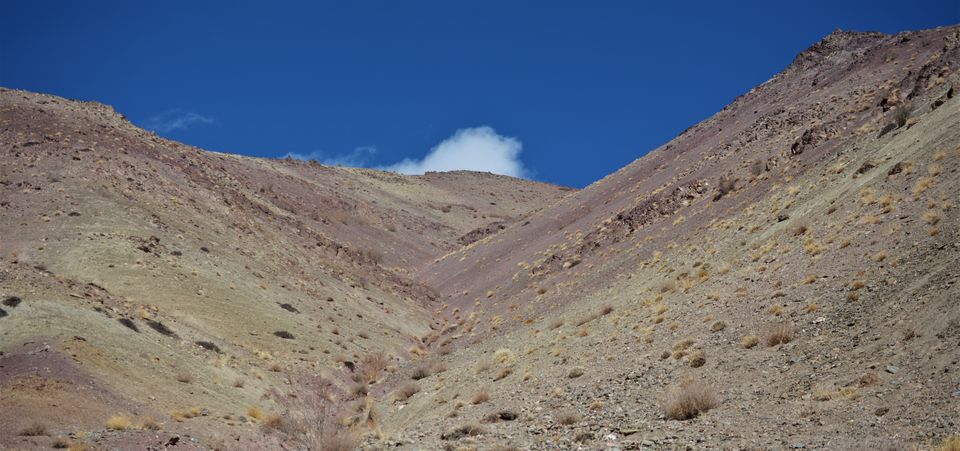 Photo of Seeking an adventurous trek option in Winter Ladakh, head to Sumda Chenmo in 2019! by Soumik Neogi