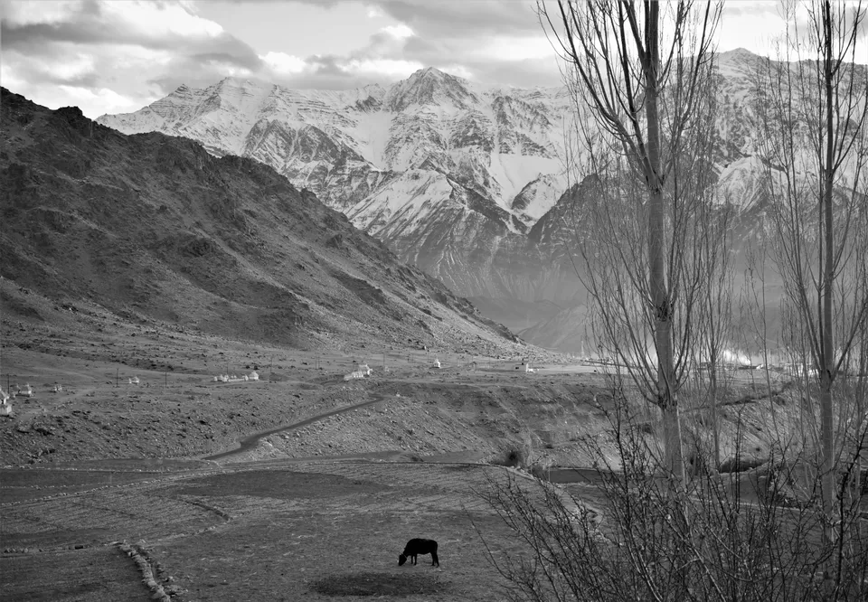 Photo of Explore a different lifestyle in these 7 offbeat Ladakh villages! #MemoryLane by Soumik Neogi