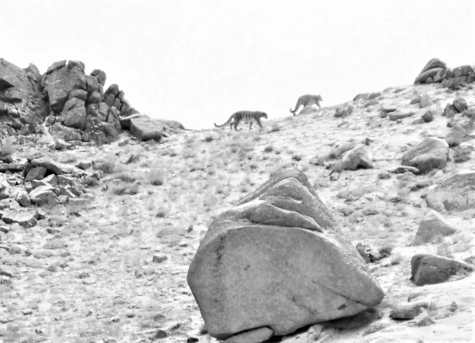 Photo of Explore a different lifestyle in these 7 offbeat Ladakh villages! #MemoryLane by Soumik Neogi