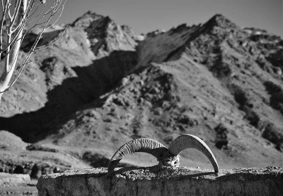Photo of Experiencing Ladakh in winters! by Soumik Neogi