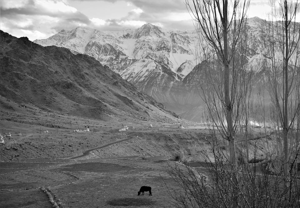 Photo of Experiencing Ladakh in winters! by Soumik Neogi