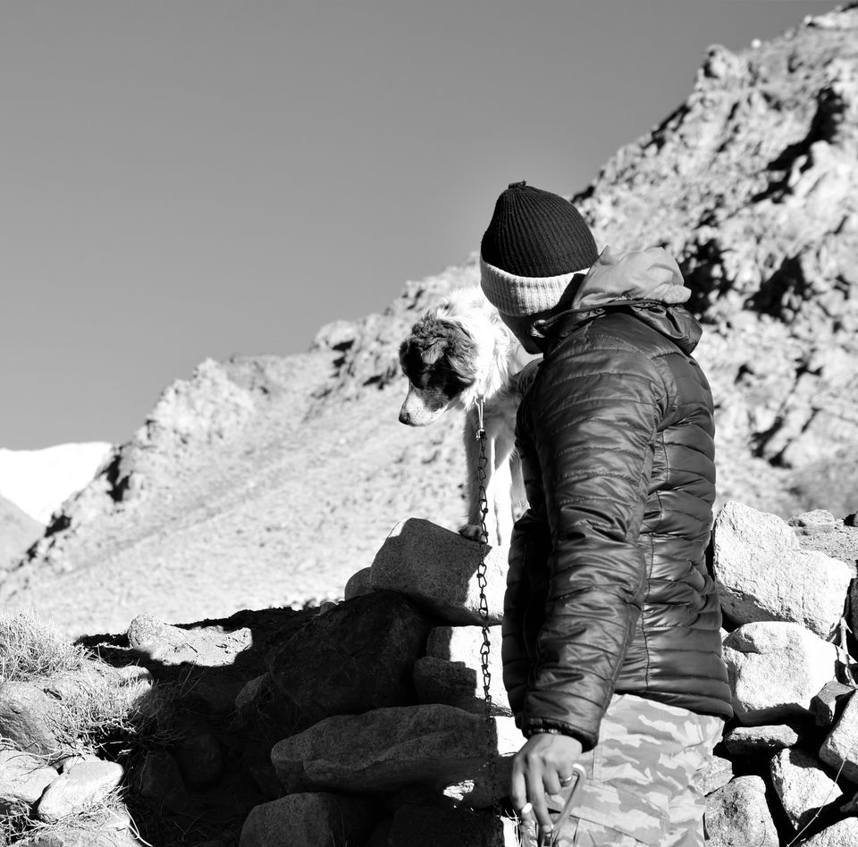 Photo of Experiencing Ladakh in winters! by Soumik Neogi