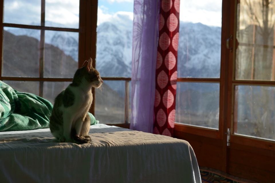 Photo of Explore a different lifestyle in these 7 offbeat Ladakh villages! #MemoryLane by Soumik Neogi