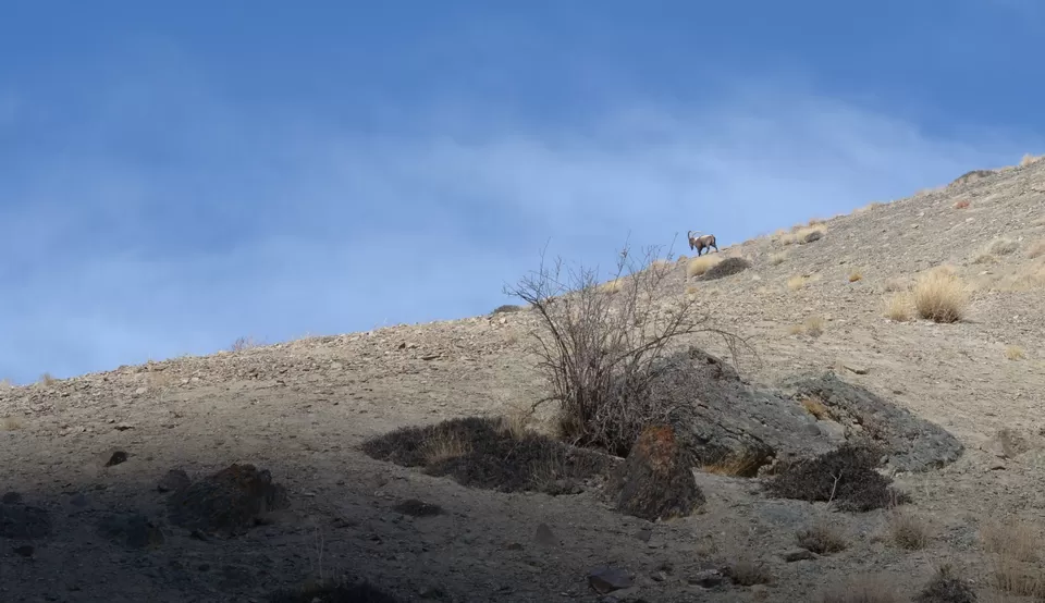 Photo of Explore a different lifestyle in these 7 offbeat Ladakh villages! #MemoryLane by Soumik Neogi