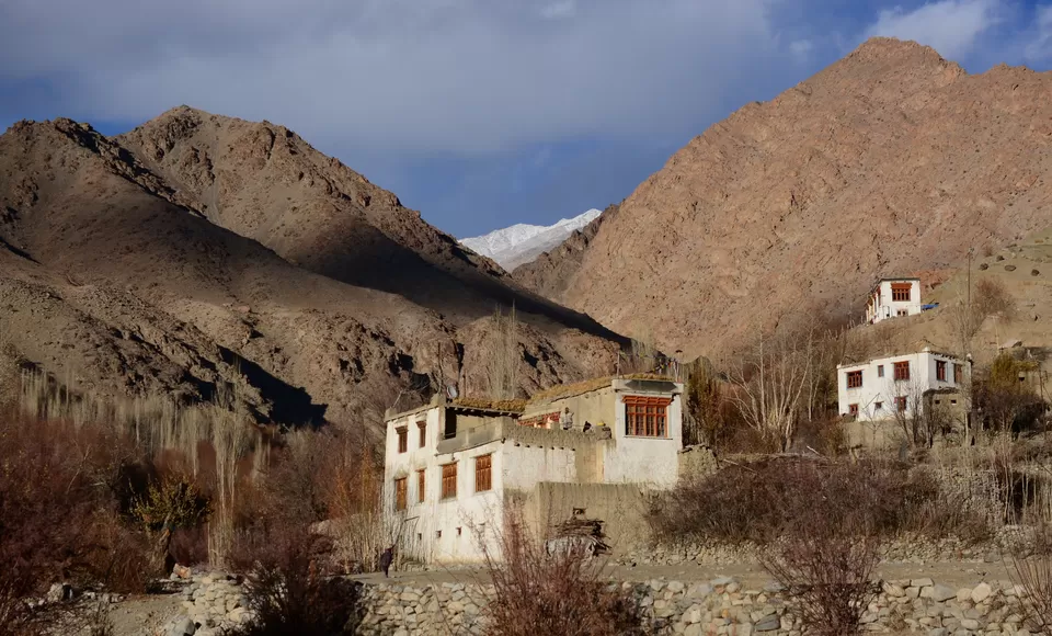 Photo of Temisgam by Soumik Neogi