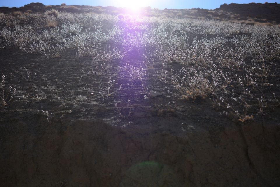 Photo of Temisgam by Soumik Neogi