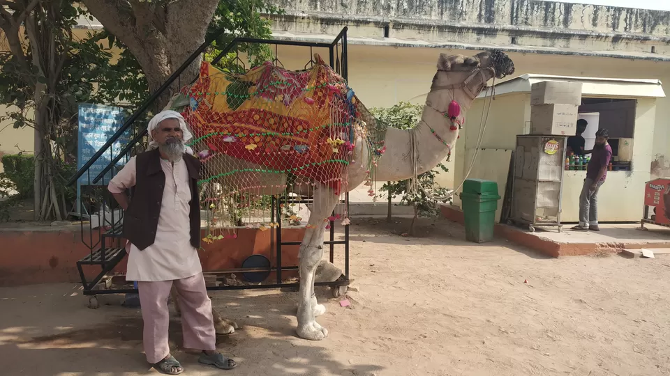 Photo of Jaipur, Rajasthan, India by Radhika Patel