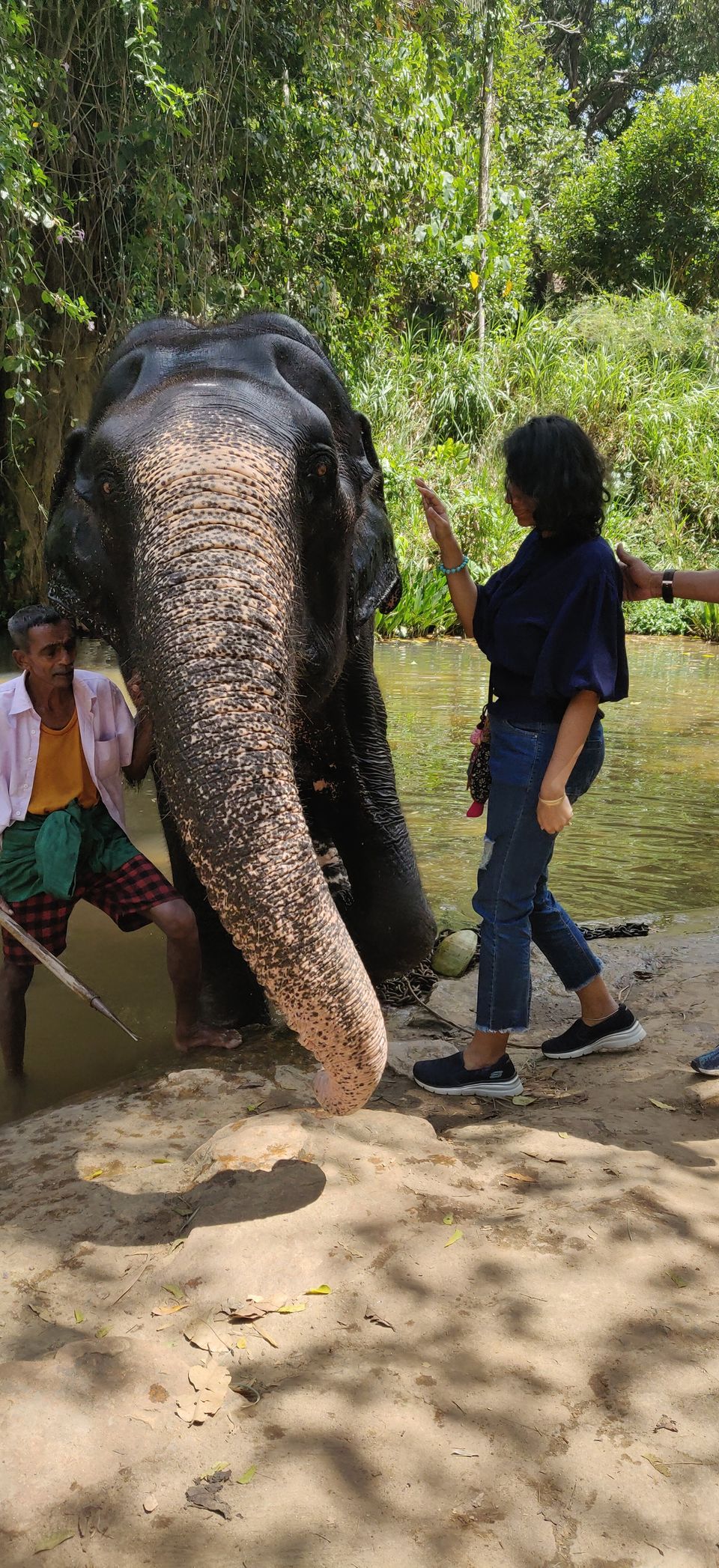 Photo of Exploring Sri Lanka 1/2 by Paridhi Agarwal
