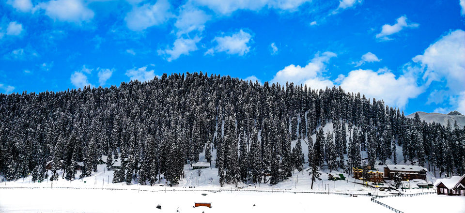 Photo of While Everybody is on Staycation, I dared to explore the beauty of Gulmarg! #NewYearsEve by Paridhi Agarwal
