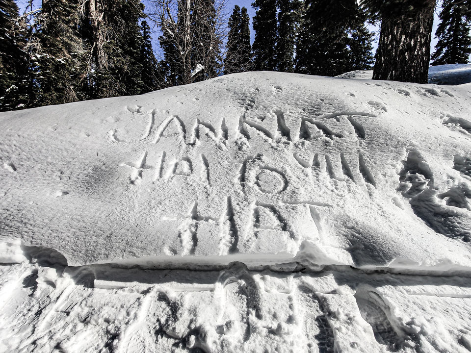 Photo of While Everybody is on Staycation, I dared to explore the beauty of Gulmarg! #NewYearsEve 11/19 by Paridhi Agarwal