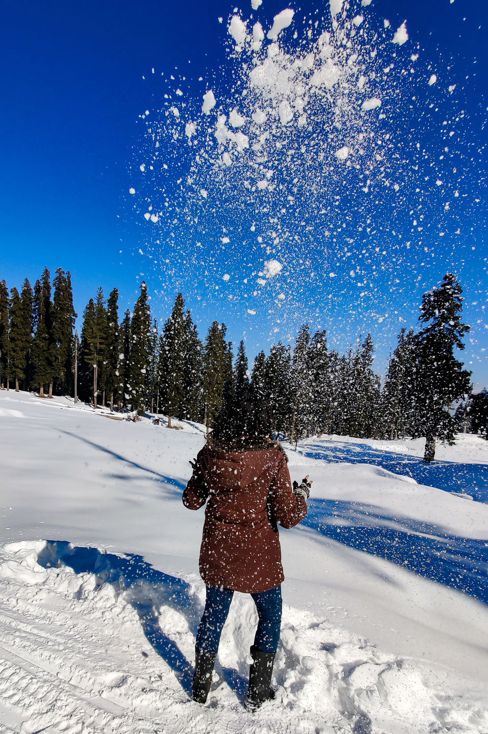 Photo of While Everybody is on Staycation, I dared to explore the beauty of Gulmarg! #NewYearsEve 18/19 by Paridhi Agarwal