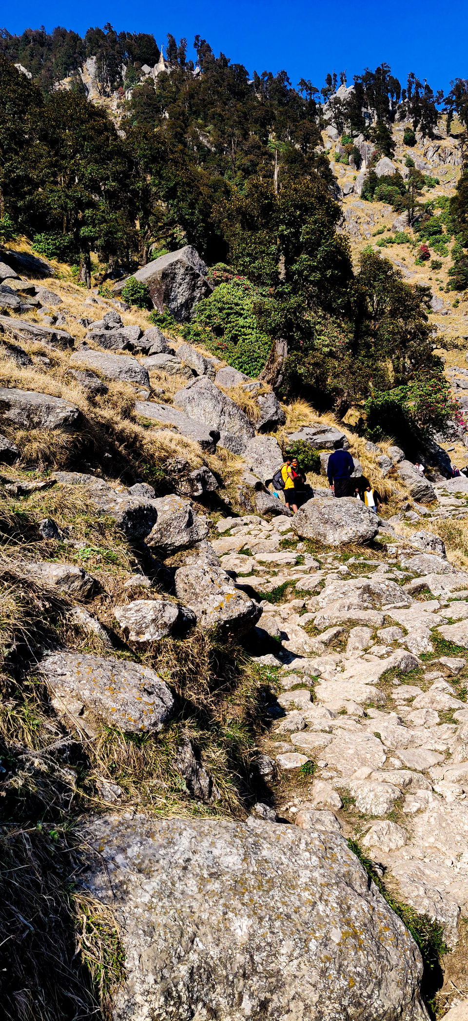 Photo of Head to this beginner's trek in Himachal after Lockdown and experience the beauty at Triund 4/11 by Paridhi Agarwal