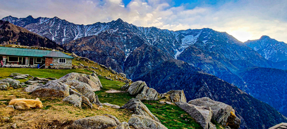 Photo of Head to this beginner's trek in Himachal after Lockdown and experience the beauty at Triund by Paridhi Agarwal